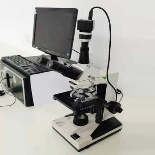 Elektroninis mikroskopas
